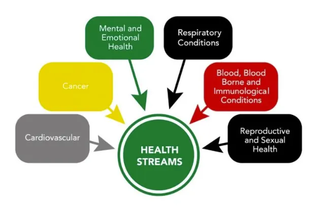 CAHN's six health streams: mental and emotional health, respiratory conditions, blood, blood borne and immunological conditions, reproductive and sexual health, cardiovascular, and cancer.